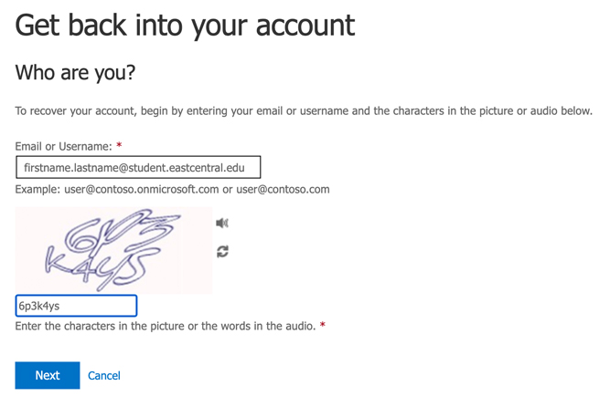 Microsoft Get back into your account form with captcha