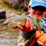 Catfish and Other Species of Fishing