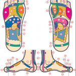 Introduction to Reflexology (Spring 2025)