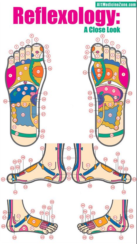 Introduction to Reflexology (Spring 2025)