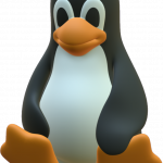 Linux for Beginners (Spring 2025)
