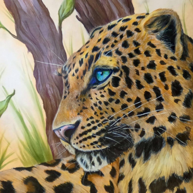Colored pencil drawing of cheetah
