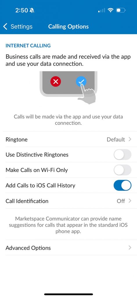 Marketspace Communicator Calling Options screen
