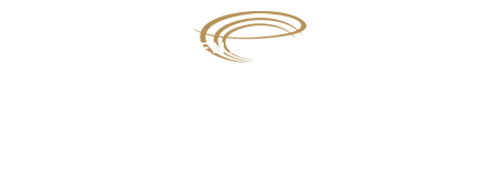 Virtual ECC logo