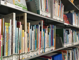 Shelf of books in the library