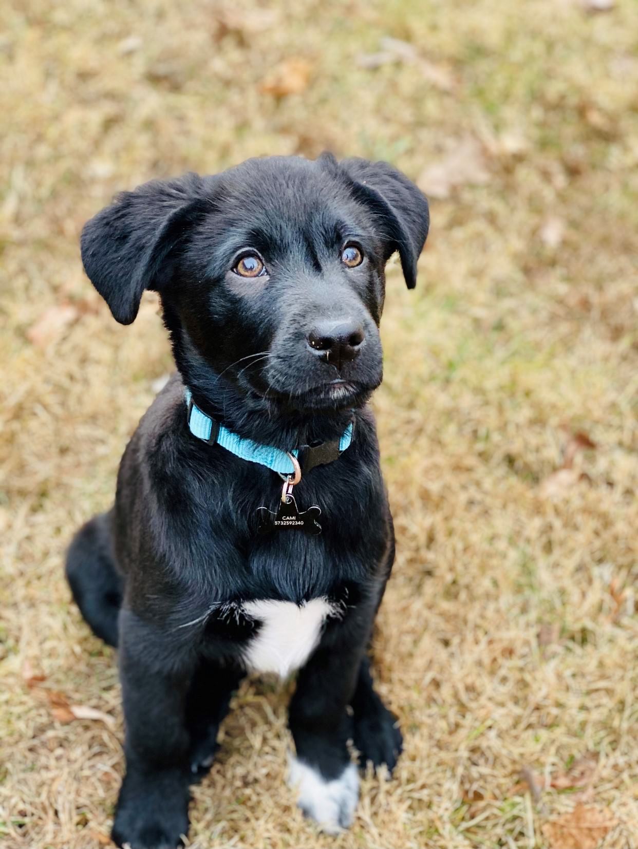 Finn’s Portrait by Cameron Myers
