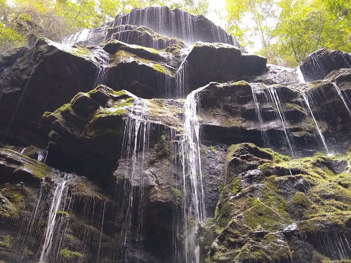 Do Go Chasing Waterfalls by Laura Deason