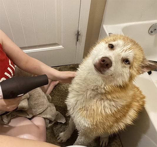 Bath Time by Sachiko Willey