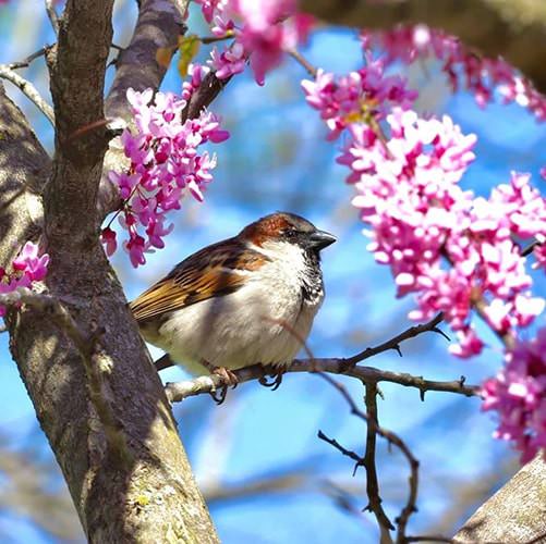 Sitting Pretty by Christopher Carr