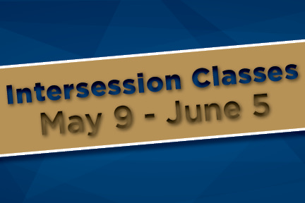 Online Intersession Classes