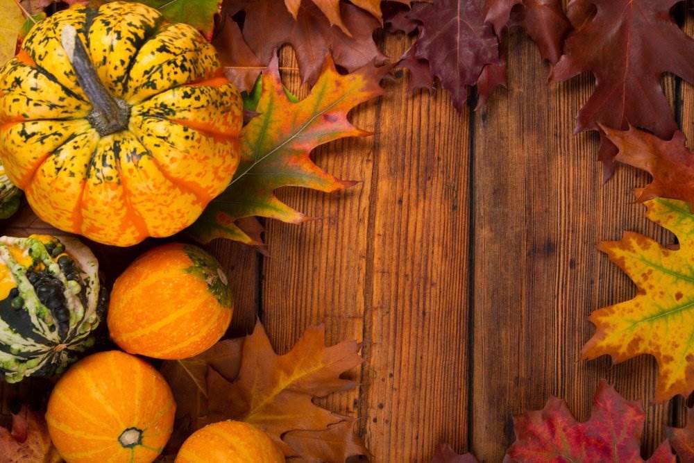Pumpkin and gourds on wooden tabletop