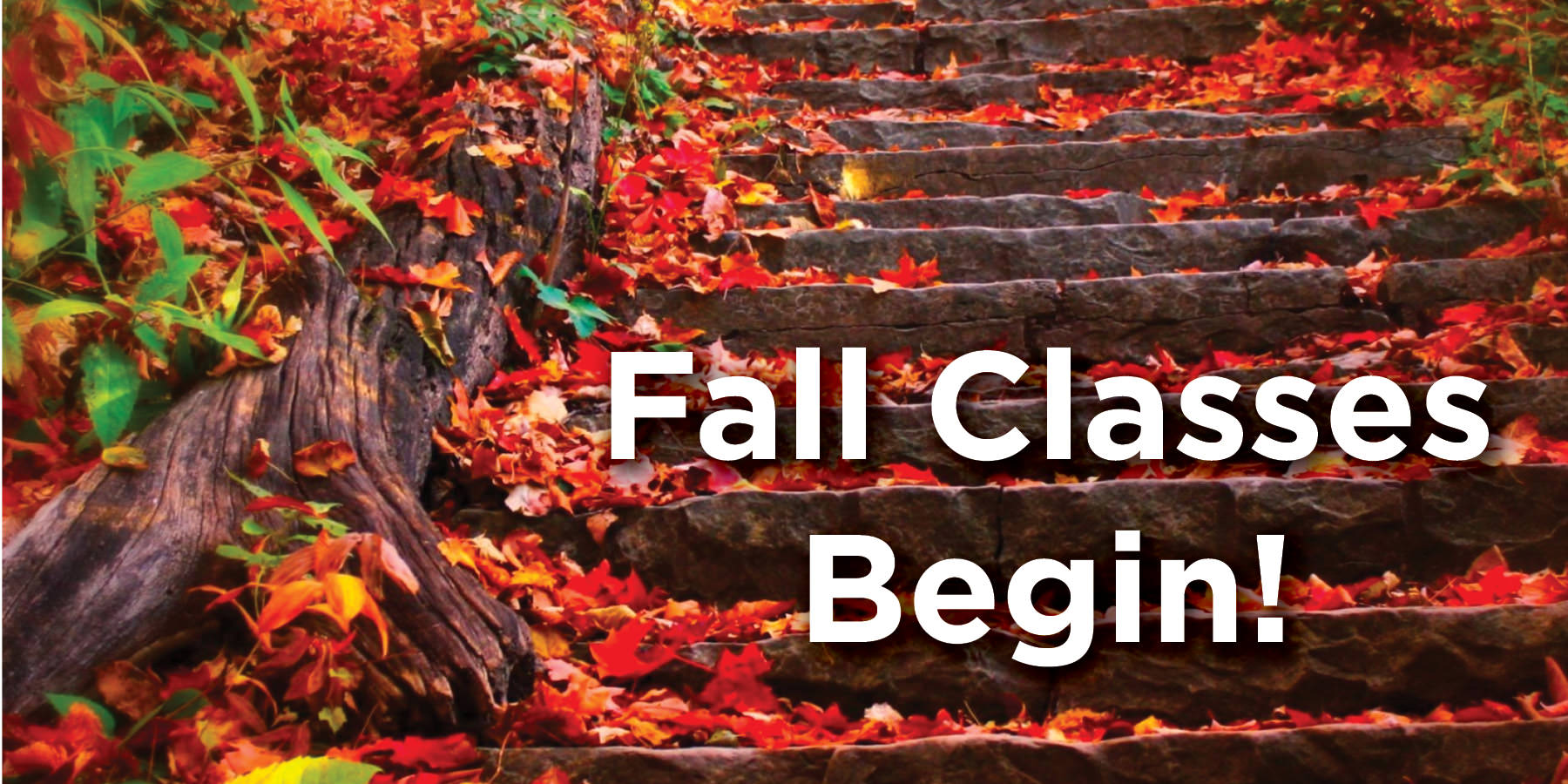 Fall Second 8-week Classes Begin