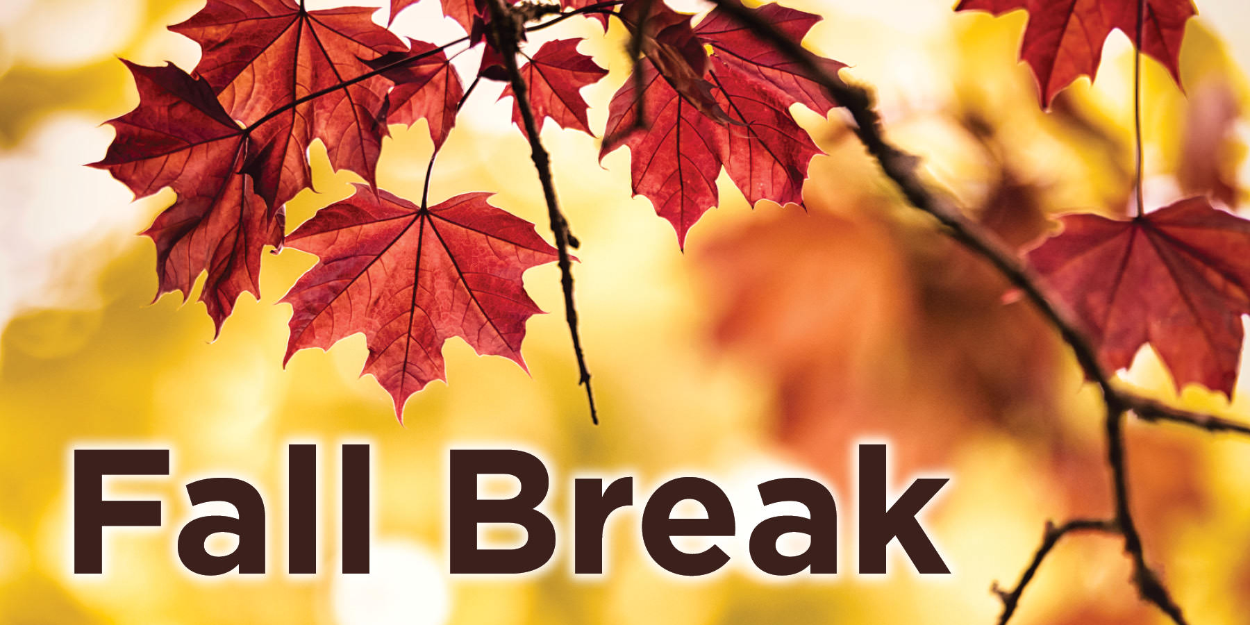 Fall Break - College Closed