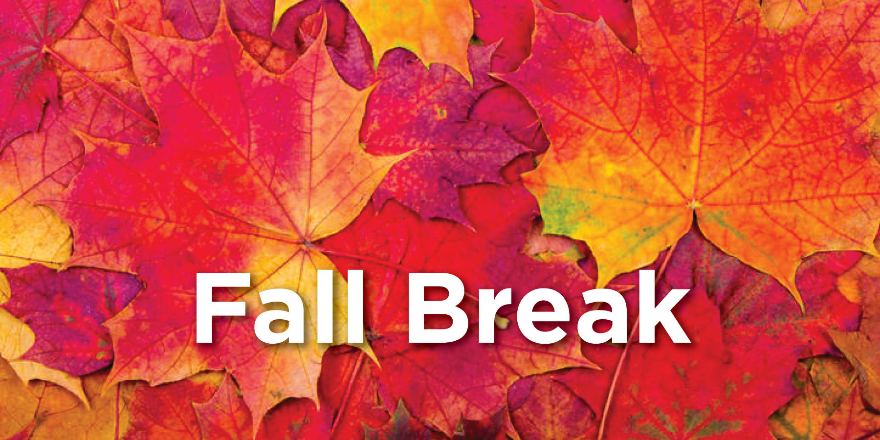 Fall Break - College Closed