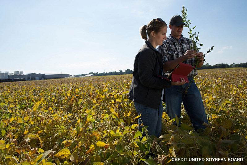 New Agriculture Emphasis to Begin This Fall