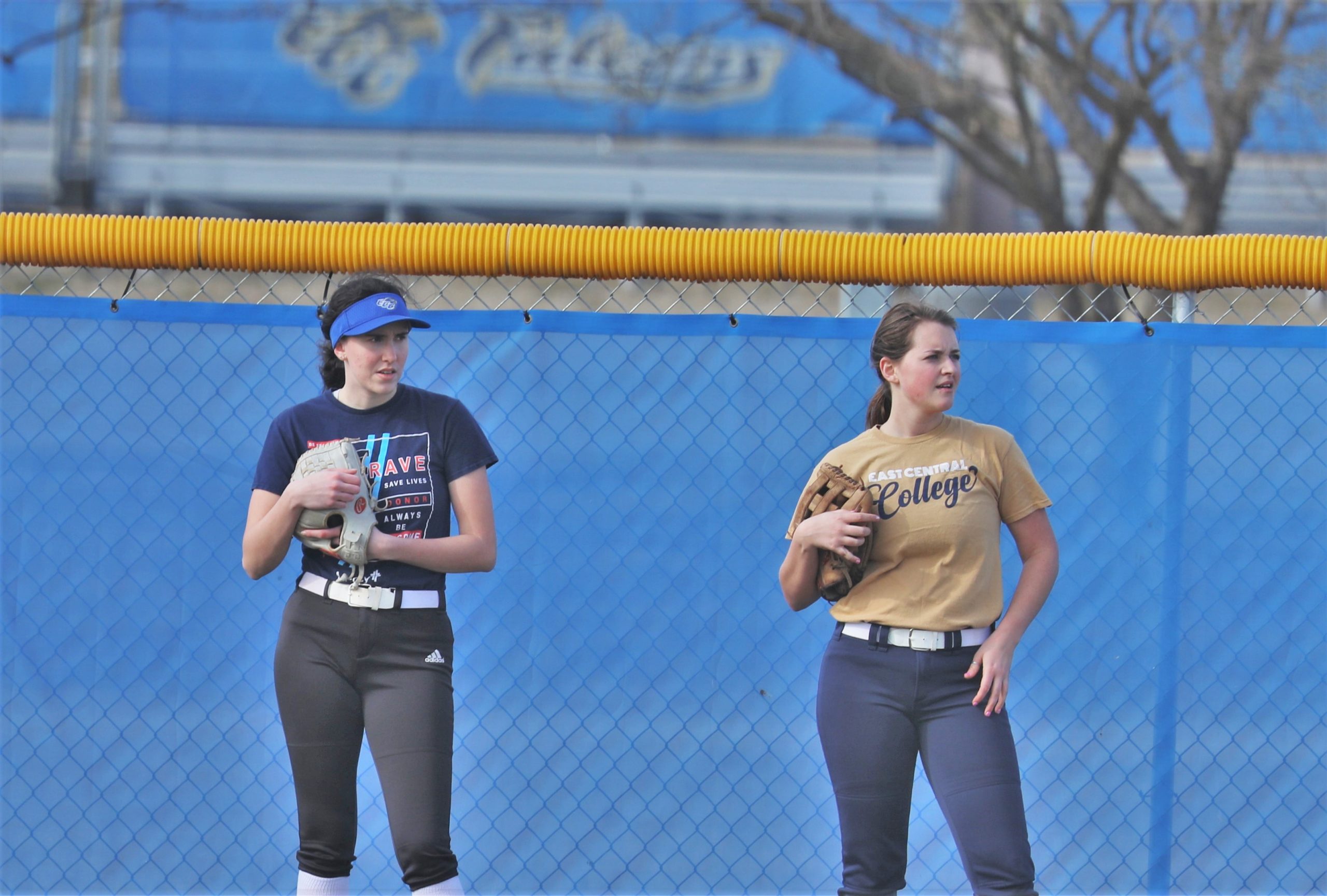Softball players in field