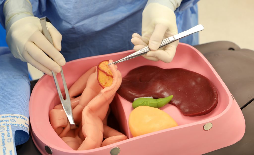 Surgical technology manikin for students