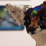 Mid-Missouri Fine Arts Society, Annual Members’ Exhibition