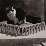 Scott Espeseth, “Dwell Time”